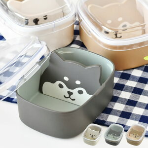 y1210̓|Cgő10{ՁIzٓ q l Tuq [[tY ^b`d؂胉` 1i 550ml h[W Vo Č   `{bNX Z ^b` t