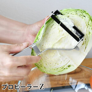 y121̓|Cgő10{ՁIzs[[ { acX vs[[Z ނ { dx Lxc XeX Lb`pi  ؂ ΂ ₷