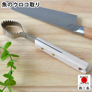 y1125̓|Cgő10{ՁIzER  J_  낱 O  { N  炦  1܂邲  J AEghA XeX ނ