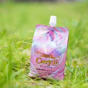 CarryO300ml×241P[XimouEH[^[V[Y_fEr^~C
