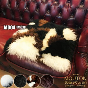 yXSi5z}\ {v  p^ [g XNGA NbV pb`[N F VR V[vXL ё7cm nobOH ȃNbVt 40cm×40cm r є 