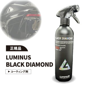 yKizLUMINUS ubN_Ch BLACK DIAMOND ~iX  R[eBO R[eBO  ŋ o  XbN    ԗpi