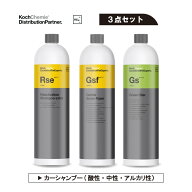 【Ranking1位】Rse Gsf Gs コッホケミー Koch Chemie リアクティベーションシャンプー エクストラ ジェン…
