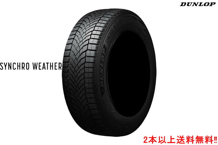 205/50R17 93V XL シンクロウェザー SYNCHRO WEATHER ダンロップ DUNLOP 新品 夏冬兼用 オールシーズンタイヤ ホイール 4本セット HOT STUFF CORPORATION G・speed P-05R 17×7.0+38 5/114.3 17インチ