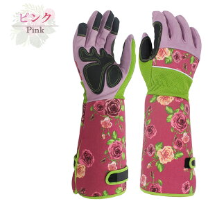 yViLOizK[fO[u K[fjO  KN  K[fjO O[u o  KN O[u K[fjO  O[u o |  ԕ Ƃh~ o _