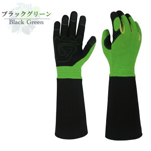 yViLOizK[fO[u K[fjO  KN  K[fjO O[u o  KN O[u K[fjO  O[u o |  ԕ Ƃh~ o _