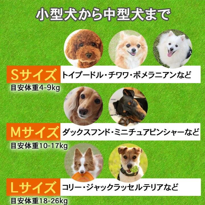 アヒル型 口輪 S 噛みつき防止 無駄吠え 拾い食い しつけ ペット 犬