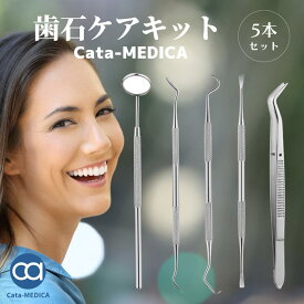 歯石取り 歯石とり 歯石ケアキット 5本セット 歯石取り (送料無料) 歯垢 歯石 の除去に スケーラー ミラー プローブ 探針 犬 一般医療機器