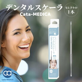 歯石取り 歯石とり デンタルスケーラ 1000円ポッキリ！ 送料無料 歯垢 歯石 の除去に 【一般医療機器】 歯石取り ヤニとり ステンレス