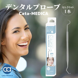 歯石取り 歯石とり ピック 器具 ツール ステンレス 歯石 取り 器具 デンタルプローブ 1000円ポッキリ 歯垢 歯石 の除去に ヤニとり 一般医療機器 歯磨きだけでは取り切れない 送料無料