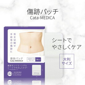 【今だけポイント12倍!】帝王切開 傷跡 テープ 保護 フィルム 医療 傷口 直接 貼る テープ 傷口テープ 透明 傷跡パッチ 10cmx12cm 1枚入り 【送料無料】大判サイズ 傷あとケア シリコンゲルシート 再利用OK 手術後 保護 傷跡テープ ケロイド 傷跡 大判サイズ