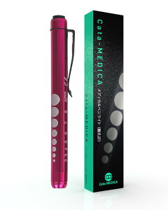 fBJ yCg4 RpNg^Cv LED ×pyCg yIׂ4J[z () hN^[ i[X Cg Ev ʈË@