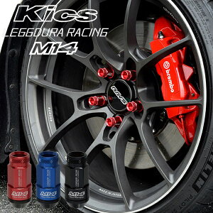 { NTXLS(2023N9)/40n50n zC[ibg/g^/M14×P1.5/RAibgWF~VF2s[X/bNibgSETyf[ VF^CvibgM14z20yRL54-14z K