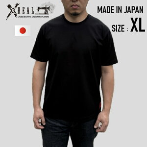 { TVc Y n XREAL  nCQ[Wn  XL x n   wr[EFbg EHbV ^OނȂŒh