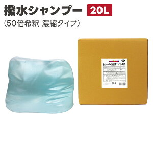 yԁR[eBOIeʃvCXzJ[Vv[i50{߃^Cvj 20L