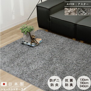 { V[gVM[ O }bg VM[ 130 190 240cm h_j R hL h g[Ή ӂ 唻 O~ イ ~ rO 傫 傫 L  ӂӂ n V