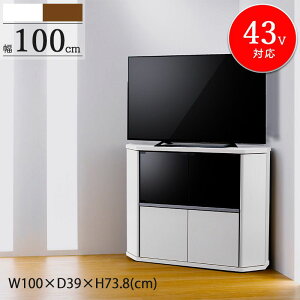 [ő10%OFFN[|] _ʉi!^ er nC^Cv 43^ 43v 43C` 100cm R[i[Ή LX^[t TV er{[h TV{[h ~h{[h Lrlbg I [ KX ؐ 