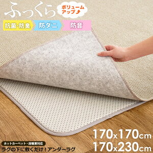 _11/1̓|Cg10{^ [ A_[O h h_j R hL 170×170cm/170×230cm ]~ O J[ybg Jo[ 2 3  170cm  ӂӂ ~ I[V[Y qǂ Ԃ v