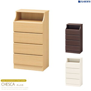 `FXg 4i 60cm [Ƌ rO[ `FXg rO`FXg [`FXg m^X  \y N[[bg o ߗ [ X  ؐ k zCg  casa