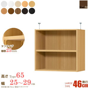 [ő10%OFFN[|] {  I[_[Ch ˂I Type65 (I ^t^Cv^s46cm [W^Cv^25`29cmI[_[)u ς ˂ I[_[ bN {I I I