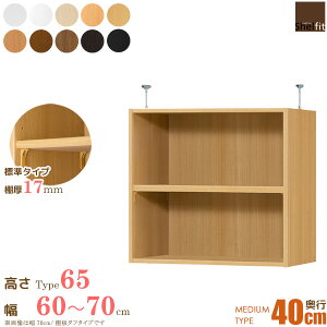 [ő10%OFFN[|] yP10{z {  I[_[Ch ˂I Type65 (I W^Cv^s40cm ~fBAfB[v^Cv^60`70cmI[_[)u ς I[_[ bN 