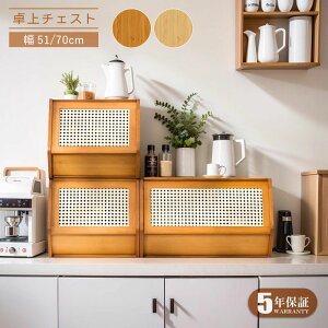 y5Nۏ؁zHI X [^Cv 50cm ~jHI Lb`   ؐ AeB[N `FXg ドbN 2i IV  [bN [I KX VFt 