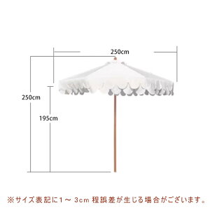 y5Nۏ؁zK[fp\ 蓮J^Cv  250cm 悯 J悯Ή J[L 