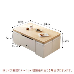 y5Nۏ؁zyize[u [e[u TChe[u Z^[e[u ~e[u 45~62cm @\e[u ܂肽ݓV 100cm zCg @\fUC [S LX