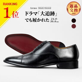 3冠達成 ● ドラマ採用多数！ ビジネスシューズ 本革 メンズ ストレートチップ レッドソール 内羽根 革靴 皮靴 大きいサイズ フォーマル 結婚式 ドレスシューズ ギフト 冠婚葬祭 小さい スーツ 紳士靴 人気 送料無料 あす楽 卒業式
