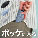 660円オフ！3850円→3190円●スキニーライト 折りたたみ傘 108cm 140g 60cm 超軽量 撥水加工 UV加工 日傘兼用 出張 置き傘 コンパクト 大型 折り畳み傘 男性用 女性用 メンズ レディース ユニセックス カーボン ブラック グレー ブルー Waterfront ウォーターフロント
