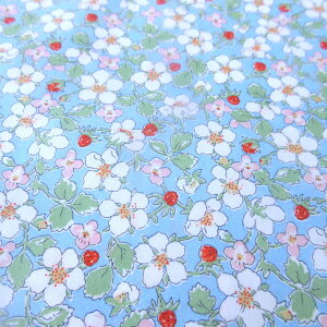 oeBn Paysanne Blossom (yCUkubT) yC`Sz Y^i[ oeBvg 50cmPʁyVׁz
