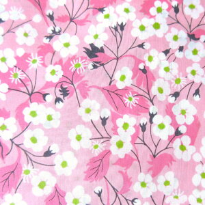 oeBn Mitsi Y^i[ VG^[i Liberty Fabrics 50cmPʁỷԁz