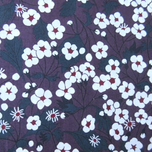 oeBn Mitsi Y^i[ VG^[i Liberty Fabrics 50cmPʁỷԁz