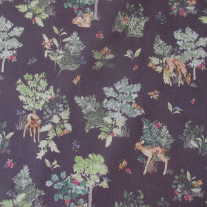 oeBn Forest Delights(tHXgfCc) yz Y^i[ oeBvg 50cmPʁylCz