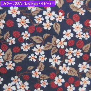 Karen's Choice(JY`CX) Liberty Fabrics Y^i[ oeBvgn 50cmP C`S