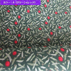 Joyous Juniper(WCAXEWjp[) oeB vg n oeBh 50cmP ylC̃NX}Xz