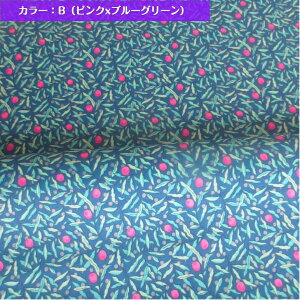 Joyous Juniper(WCAXEWjp[) oeB vg n oeBh 50cmP ylC̃NX}Xz