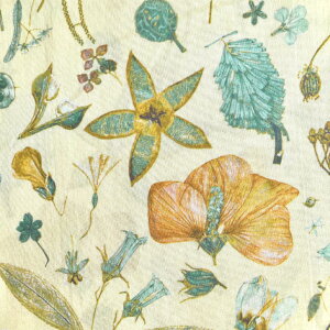 ���o�e�B ���n Floral Eve �t���[�����E�C�u WE ���Y �^�i���[�� �{�^�j�J���� �ԕ� �N���[���n ���F Liberty Fabrics 50cm�P�ʁy2021�N �V�G�^�[�i���z