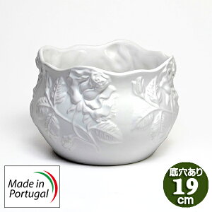 yAEgbgz [bp |gK  Aؔ  nhCh v^[ o [t zCg [Y ꌊ A a19cm K[fjO europe_plum pan-h233w_b2