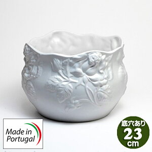 [bp |gK  Aؔ  nhCh v^[ o [t zCg[Y ꌊ A a23cm K[fjO europe_plum pan-h234w