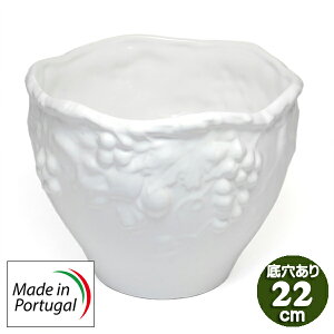 |gK  Aؔ ꌊ n t[c [t zCg O[v K[fjO A 22cm europe_plum psu-h8701w