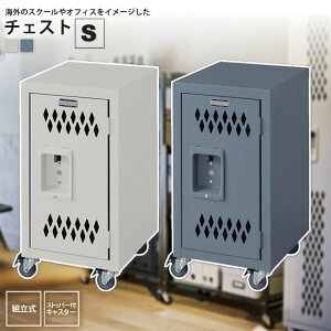 `FXgS tLrlbg bJ[Xg[W LX^[t TPN-40 GY/IV bN@X`[`FXgS