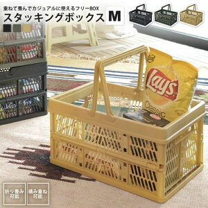 yyVX[p[SALE zzX^bLO{bNX M 38  JS  ܂肽 LFS-31 BK/GR/SBE/GY X^b`{bNX