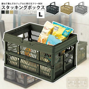 yyVX[p[SALE zzX^bLO{bNX L 46  JS  ܂肽 LFS-32 BK/GR/SBE/GY X^b`{bNX L