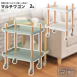 yyVX[p[SALE zzt[S 2i 63.5  rO[ Lb` PW-52 GR/WH S2D