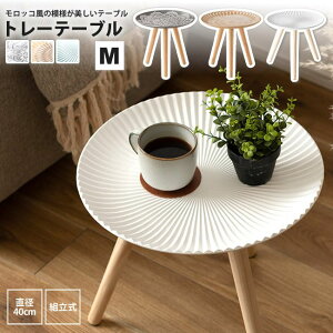 g[e[u M a40cm  bR ~^ ی` TChe[u ~j TChe[u