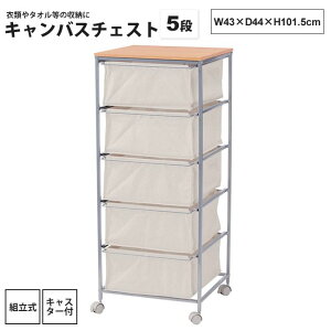 yyVX[p[SALE zzLoX `FXg 5i  S LX^[t MIP-279 LoX`FXg 5i