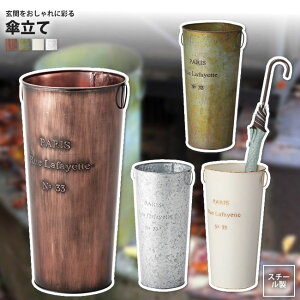 �P���� ������� �X�`�[�� �V���r�[�V�b�N �� �A���u�����X�^���h ���� LFS-427 BZ/GR/IV/SV �P����