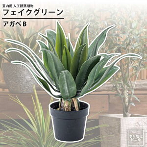 tFCNO[ AKxB p lHϗtA  CeAO[ GRN-14 tFCNO[ AKx