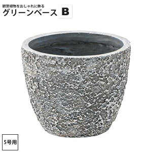 yyVX[p[SALE zzO[x[XB 5p (a21.5)  CeA v^[  Jo[ ی` GRNB-201 O[x[X